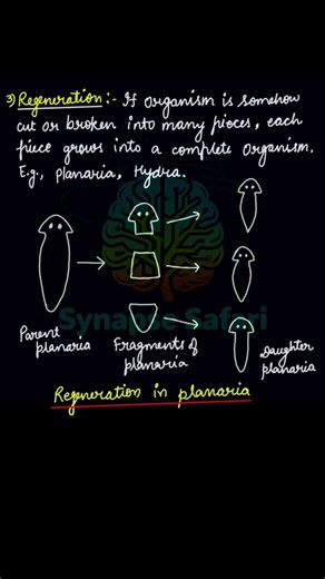 How do organisms reproduce part-2. 10th science. #boardexam #biology