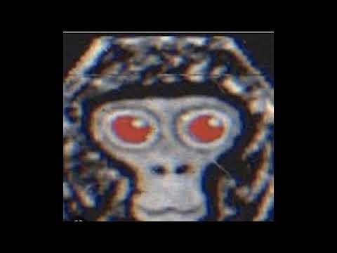 Ghost Daisy warning bot