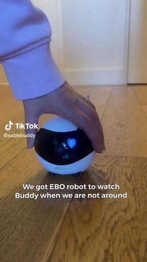 Enabot EBO Robot Security Camera - Christmas Sale
