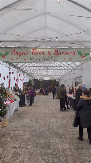 6ixFoodSpots | Toronto Food Content Creator on Instagram: "📍@angasfarmandnursery Looking for the PERFECT winter activity this week? Here’s a FREE, one-day-only holiday market that’s bringing ALL the festive vibes to the GTA ❄️✨ Here’s what you can expect at Anga’s Annual Winter Market: 🎄 Pick out your own fresh Christmas tree (they’ll trim + wrap it for you!) ☕️ Cozy drinks like hot cocoa + hot apple cider 🎨 Creative adult workshops + kids’ crafts where you take home your own creation 🍔 Amaz