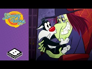 Sylvester’s Laser Pointer Disaster! | Looney Tunes | Boomerang UK
