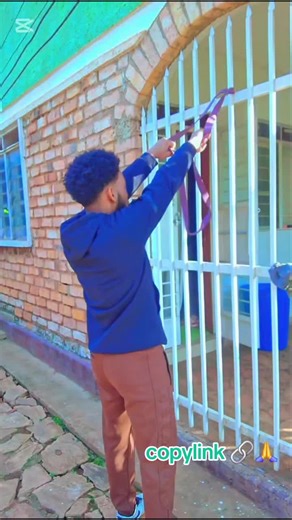 CapCut Day Nine: Creative Video Editing Insights