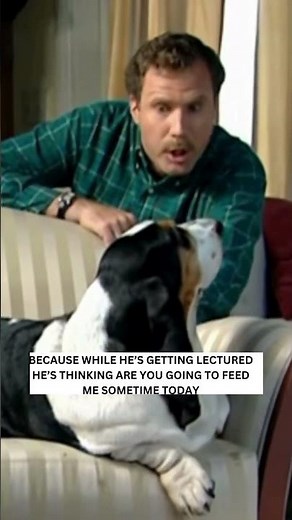 WILL FERRELL🔥😂DISSING YOUR DOG WHILE BEING DISSED BY HIM SNL SKIT EDIT #viral #snl #comedy #funny