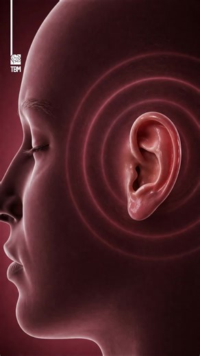 What Causes the Heartbeat Sound in Your Ear - Ever heard a heartbeat-like sound in your ear? Is it a cause for concern or just a harmless condition?