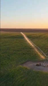 Israel technology//drip irrigation system//#viral #agriculture #farmer #youtubeshorts #isreal