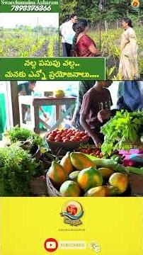 Black turmeric has many benefits for us....I Mana Mulam