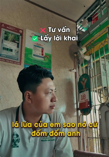 Coi phim hình sự quá 180p #nongnghiep #phanbon #thuocbvtv #xhtiktok #caylua