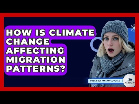 How Is Climate Change Affecting Migration Patterns? - Polar Regions Uncovered