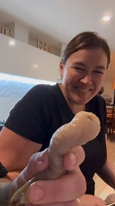 Come and taste geo duck with us 🤣🤣🤣🤣🤣 man this was a good laugh - just watch it 💯 #fypシ #foodlover #seafood #geoduck #foodie | The KUTAI GUY