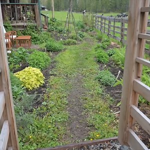 {GARDEN TOUR} | What We Grow to Feed Our LARGE Family! | Homesteading Family