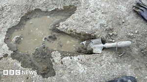 2025: The science stories that stopped us in our tracks