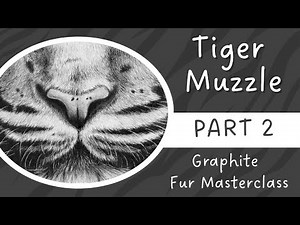 How to Draw Realistic Tiger Muzzle Fur - Graphite Masterclass Part 2