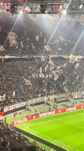 Eintracht Frankfurt Fans: A Global Community of Ultras