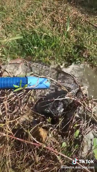 Aspirando Piscinas sem Motobomba: Dicas Práticas