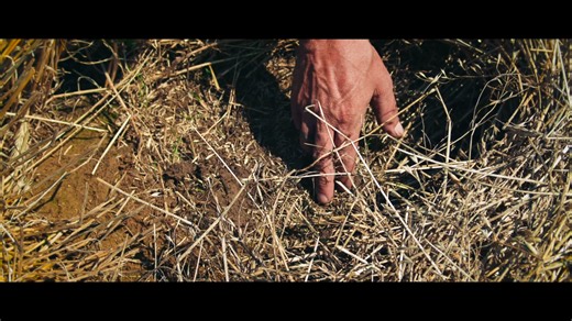 WATCH THE FULL EPISODE NOW: Part II of our award winning cover crop documentary series dives deeper into the biological life that's impacted by traditional farming practices. Regenerative practices like no-till farming and reduced pesticide use help protect the living network beneath our feet. By disturbing the soil less and letting nature find its balance, farmers give these organisms room to breathe, grow, and do their work. Healthy soil doesn’t come from force, it comes from balance. When we 