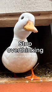 Drink water plz | Casey McClenny