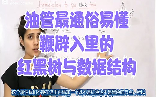 油管最通俗易懂鞭辟入里的红黑树与数据结构（red black tree/rb tree/数据结构）