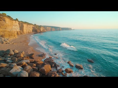 Summer Ambience 🌊1 Hour of Peaceful Background Music 🌊