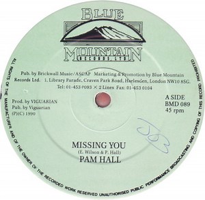 Pam Hall - Missing You