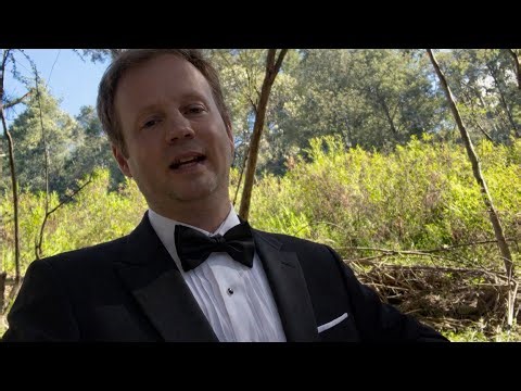 Damage In Language Learning Makes No Sense