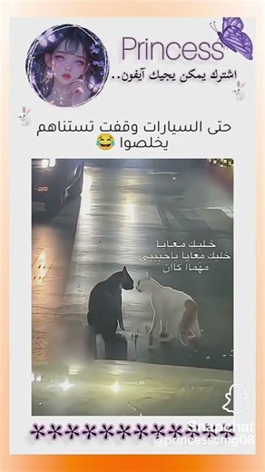 كومنت لايك ولاتنسون تعليق