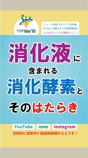 【中２：理科】消化酵素とそのはたらき
