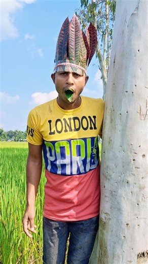 Secret Technique for Catching Parrot #reels #comedy #funnyvideo #parrot #funny #FunnySpot #fun | Funny Spot