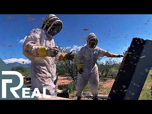 Killer Bee Removal Expert | Risk Takers | Episode 4 | FD Real Show