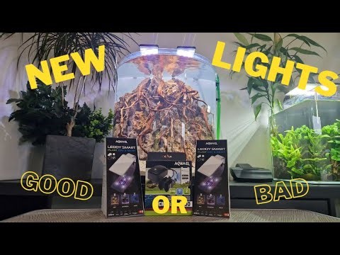 Aquael Leddy Lights V3 Review & Test | Socket Link Duo Plug: Wort it?