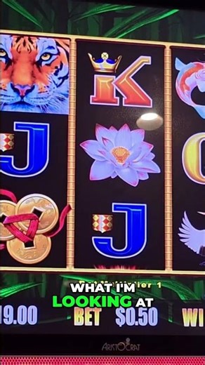 Casino Game: Koi Fish, Lanterns & Free Spins! #shorts