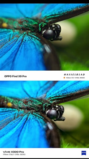 Macro Shot on vivo x300 Pro vs oppo find x9 pro | Sneak Peek