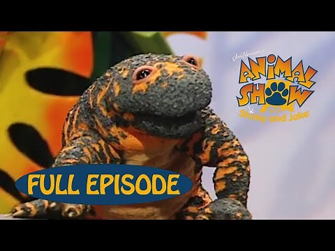 Animal Show | Gila Monster 🦎 / Kanagroo Rat (Desert Rat) | Jim Henson Family Hub