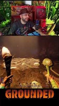 I Am One Of Red Ants In Grounded