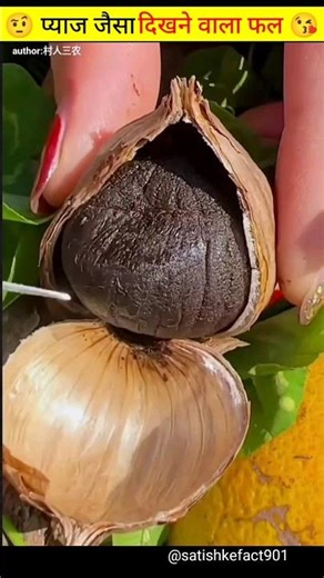 🤨 प्याज जैसा दिखने वाला फल 😘 ll #shorts ll ‪@Fact2Fact‬ ll