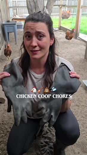 Cleaning the Chicken Run and Poop Shelf for Healthier Chickens