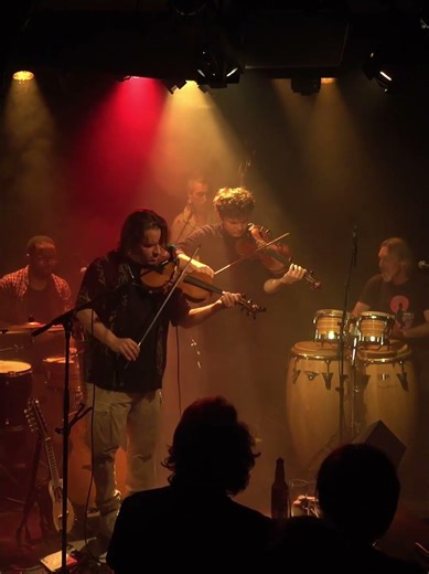 live - Dialogue entre violons 🎻 #shorts