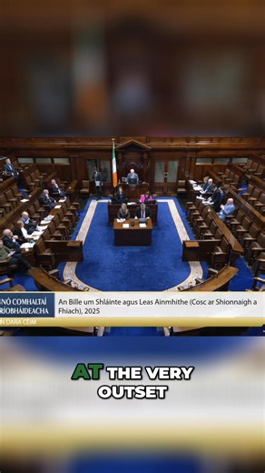 Government OPPOSES Fox Hunting Bill: 'It's a CON JOB!' Michael Healy-Rae T.D. | VideoParliament Ireland