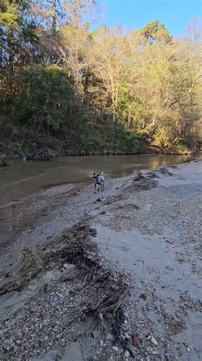 I need this in my back yard👌