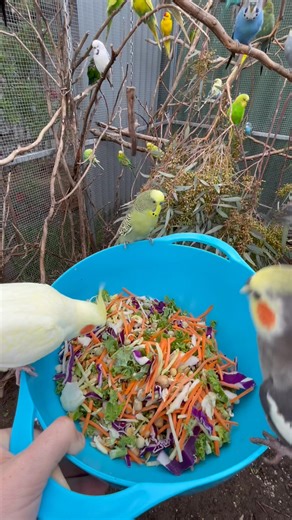 163K views · 5.5K reactions | Things that can make you smile even...