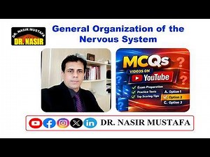 🧠✨ 💧 MCQs on Nervous System | Physiology Lecture 📚