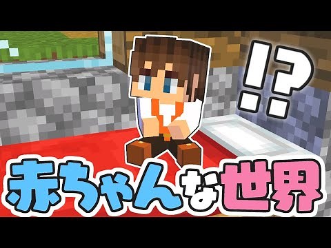 赤ちゃんの姿でエンドラを倒せるか!?小さな体で大冒険!!マイクラMod実況【マインクラフト】