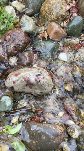 Ok pudding stone in the waterfall #rocks #outdoors #puddingstone | JC Outdoor Fever