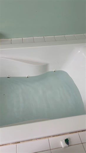 sᴀʀᴀ ᴄʀᴏᴡ on Instagram: "🫧🛁🖤 wow guys. This was a long time coming 👀 ✨ we have lived here 6 years and I have never had the guts to start the process to clean these jets— you can see why 🤪 — these jets have not been turned on for probably 15+ years yall. #Cleaning #moldytub #jettedtub #cleanwithme"