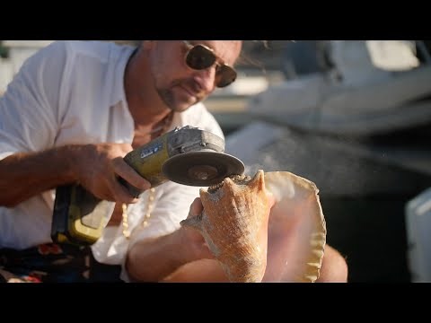 How to make a conch horn
