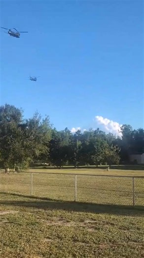 257K views · 2.4K reactions | Army chinook helicopters flying over Lehigh Acres today and this golden retriever loved it!   Nic May | Peter Busch | Facebook