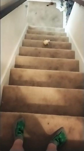 SpongeBob falls down the stairs