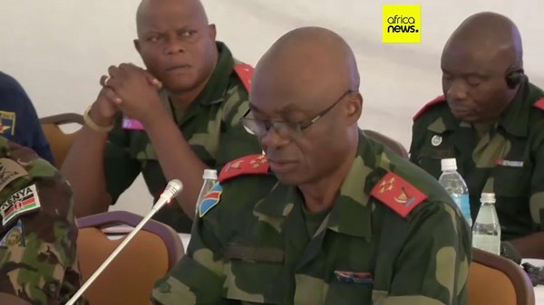 Uganda secretly sends hundreds of troops to DR Congo - UN experts