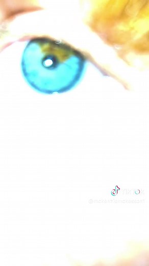 Kenzie (@mckenziemckesson1)’s videos with son original - 💿🎧