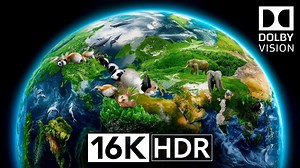 【4K HDR】4K HDR 120fps杜比视界-以超细节捕捉世界I屏幕测试|极致画质|杜比视界|电视屏幕测试|手机屏幕测试 |_哔哩哔哩_bilibili