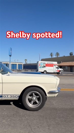 1965 Shelby GT350 White with Blue Stripes Roars Past in Brawley, California #shelby #gt350